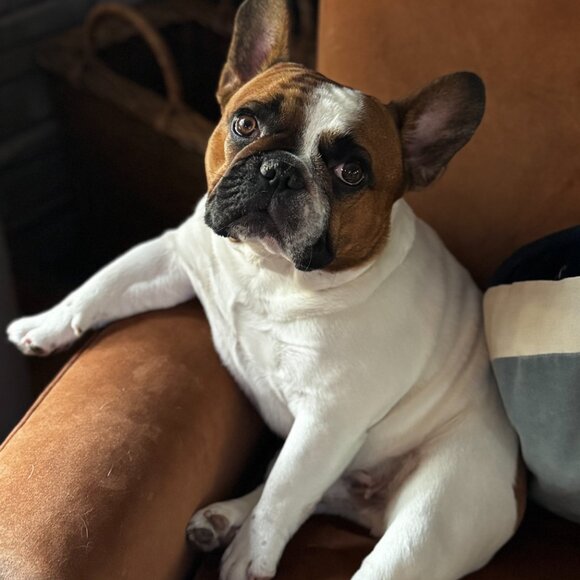 Meet your Posher, Angella - Picture 15 of 15